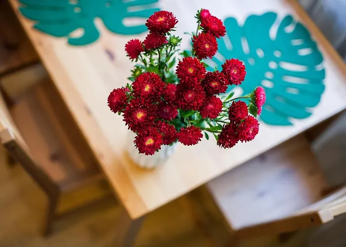 Διαμέρισμα Vintage Tomasza 25 Krasków